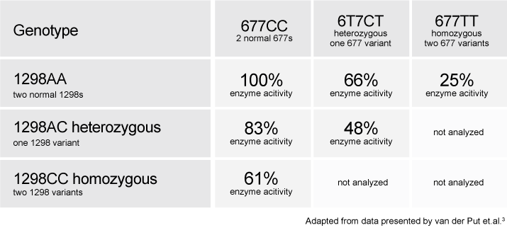 What is the MTHFR mutation?